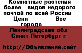 Комнатные растения более200видов недорого почтой по всей России › Цена ­ 100-500 - Все города  »    . Ленинградская обл.,Санкт-Петербург г.